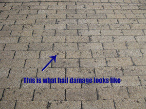 windsor-hail-damaged-roof